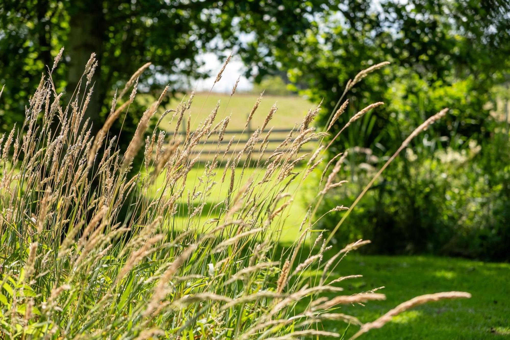 Marcassie Farm Lodges - Blackthorn Studio Форрес Экстерьер фото